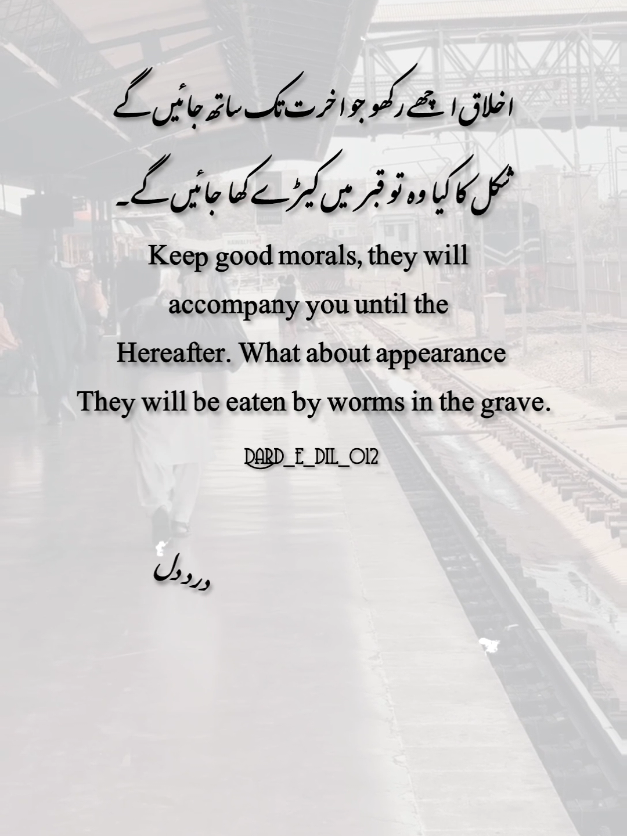 It's True 🥹❤️‍🩹🥀 don't under review my video ☹️🥀#fpy #foryou #foryoupage #urduline #sad 