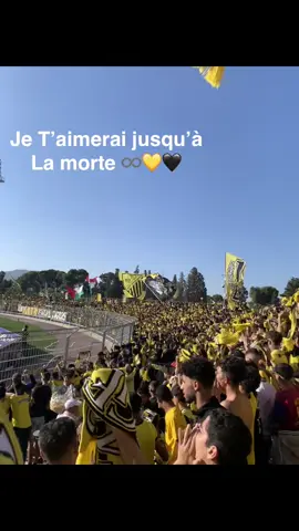 #tiktokindia #fy #fataltigers🖤👊💛 #españa #usa🇺🇸 