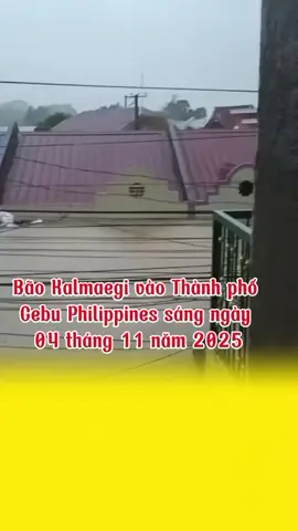 #daivu✅ #viral  #kalmaegi2025 #cebu #philippines🇵🇭 