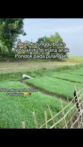 #fypシ゚viral#pondokpesantren💗#bismillahfyp 