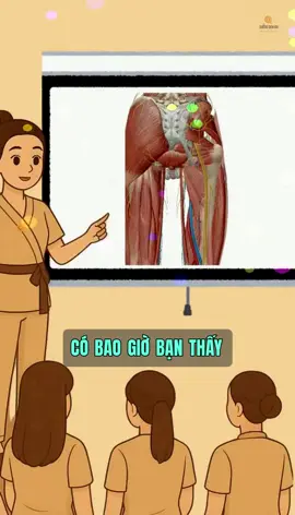 Cơn đau chạy dọc từ lưng xuống chân – đó không phải mỏi cơ, mà là dây thần kinh đang kêu cứu