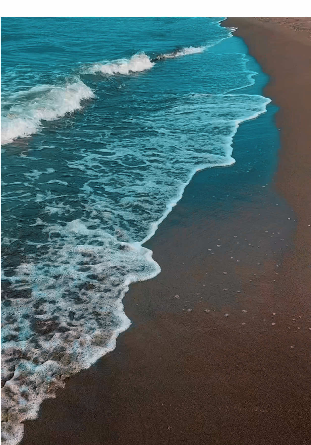 #სიძლიერეყოველთვისშენშია #მაშინაცკიროცა #spendsummerinsakartvelo #დაფიქრდიკიდევერთხელ 