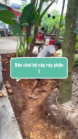 #cuocsongthuongngay #thichtrongcay #yeuthiennhien #lamvuon #hoabinh  Công trình thế kỷ hồ cá chép🤣