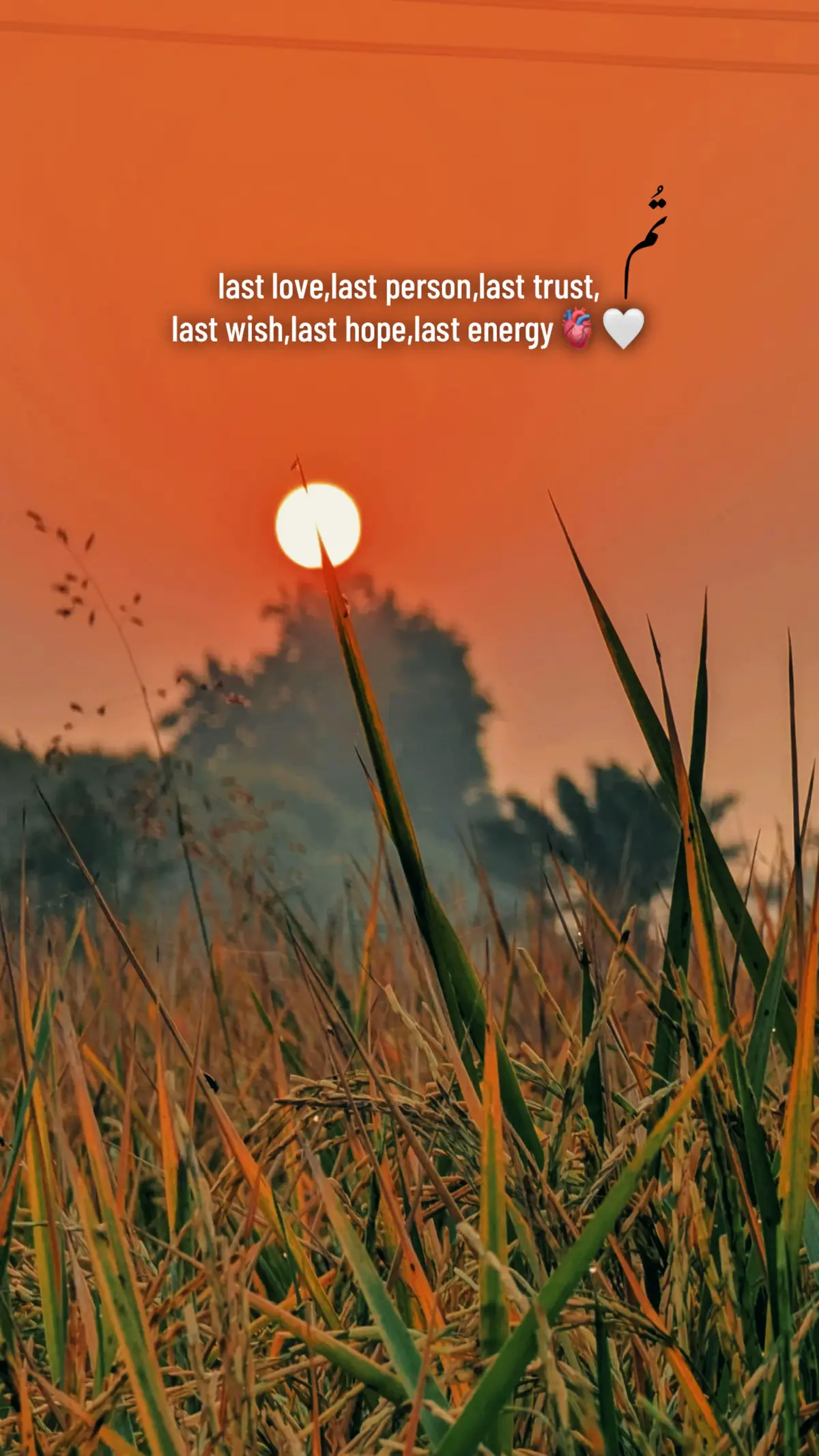 🫀🤍#foryou #foryoupage  #sameerhere 