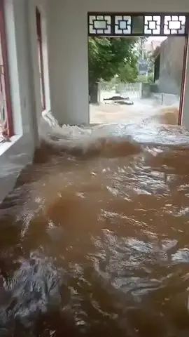 Miền Trung ơi thương quá .Nước vào nhà rồi mà còn có sóng đánh mạnh như ngoài biển vậy #hong60giayy 