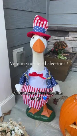 Don’t forget to vote in your local election today!! 🗳️💙🇺🇸 #vote