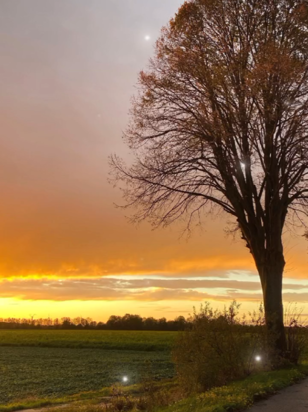 ✨ N – Neubeginn Ein neuer Monat, ein neuer Anfang. Alles, was du brauchst, liegt bereits in dir. ✨ O – Offenheit Sei offen für Veränderungen, für Chancen, für das Leben selbst. ✨ V – Vertrauen Vertraue dem Prozess. Auch wenn du den Weg nicht immer siehst – das Ziel findet dich. ✨ E – Energie Lass deine Energie fließen. Was du gibst, kommt zu dir zurück. ✨ M – Mut Hab den Mut, groß zu träumen und deinen eigenen Weg zu gehen. ✨ B – Balance Finde dein Gleichgewicht zwischen Tun und Sein. ✨ E – Entwicklung Wachstum geschieht leise, Schritt für Schritt – doch jeder Schritt zählt. ✨ R – Ruhe In der Ruhe liegt deine Kraft. Atme tief durch, vertraue – alles kommt zur richtigen Zeit. 🌙 💚 November – ein Monat für Neubeginn, Vertrauen und inneres Gleichgewicht. #NovemberVibes #Neubeginn #Offenheit #Vertrauen #Energie 