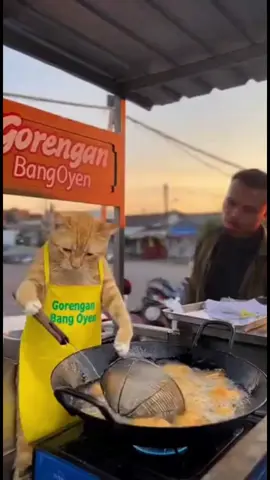 Bang Oyen Ngamookkk ketika Di Palakin sama Preman 🤣  #BangOyen #KucingLucu #KucingOren #OyenNgamuk #PedagangKakiLima            