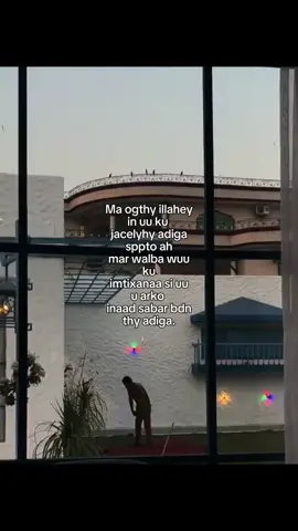 Sbar mar walbo adiga.👀#viral #foryou #viral_videos 