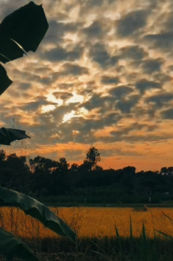 একজন মানুষ আমারও ছিলো ❤️‍🩹🖤