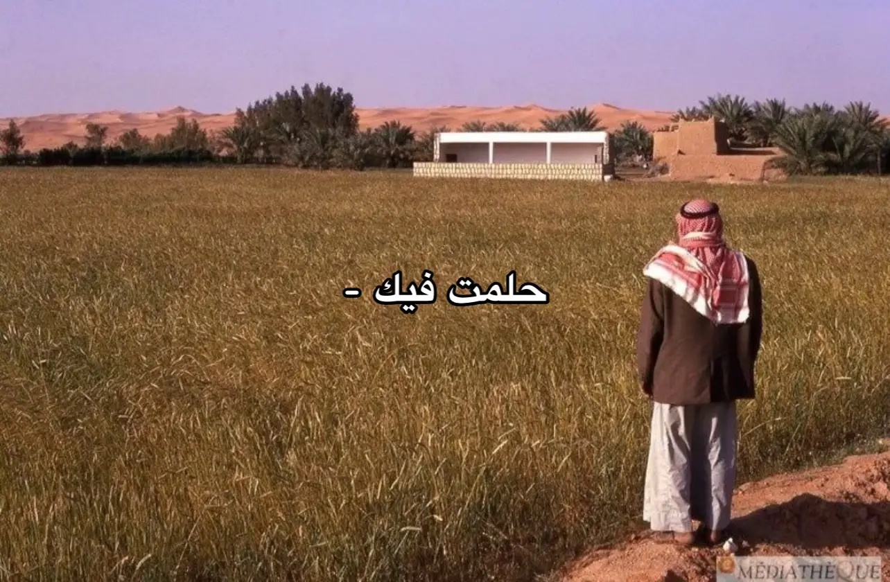 العنوان | حلمت فيك #هواجيس #fypシ゚viral #foryoupage #fyp #رسائل  