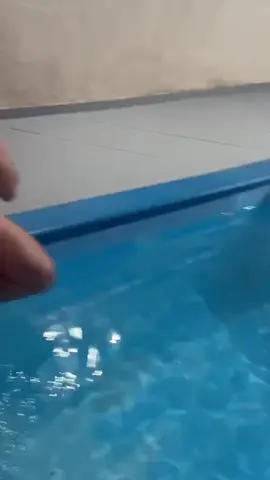 É vermelhinha e deliciosa 🥰❤️🍉 