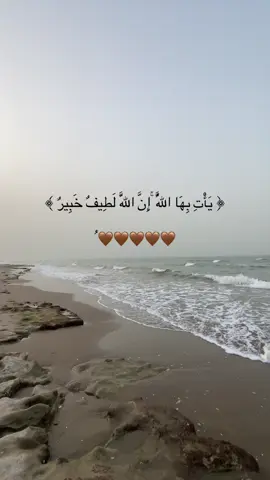 ‏﴿ يَأْتِ بِهَا اللَّهُ ۚإِنَّ اللَّهَ لَطِيفٌ خَبِيرٌ ﴾ . . . #يأتي_بها_الله_إن_الله_لطيفً_خبير #explore #تصوري📸 #pyf #قران 