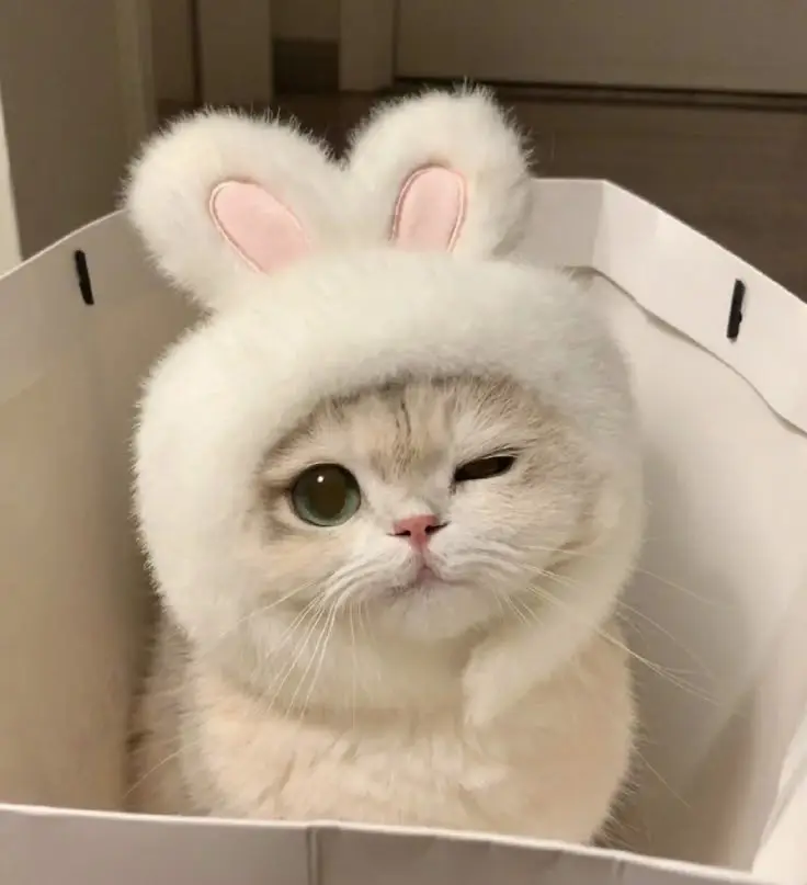 #anime #fyp #animeedit 