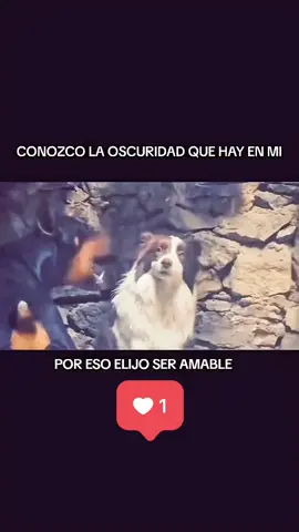 #paratii #fyp #fypシ゚viral #you 