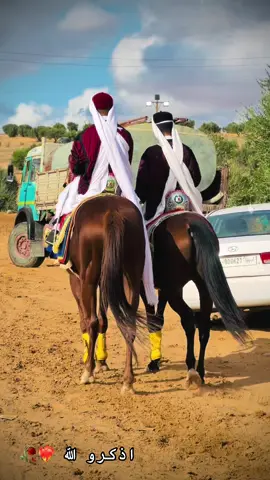 #عقد_احفاد_بن_جحا_الجحاوات_🥇🔥 