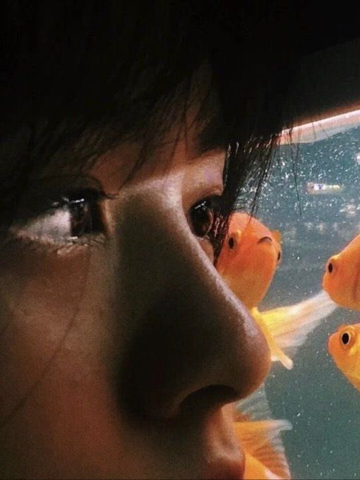 doicher.exe (remastered + DLC) #music #rap