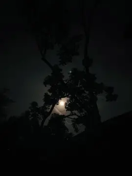 পরিবার এর মুখের দিকে তাকিয় নীরবে মরে যাওয়ার যে ব্যাপারটা! 😅 #shishir_baby_69  #foryou 