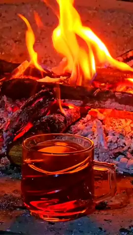 #مشاهير#viral‬#fyp‬ _تيك_توك_العرب 