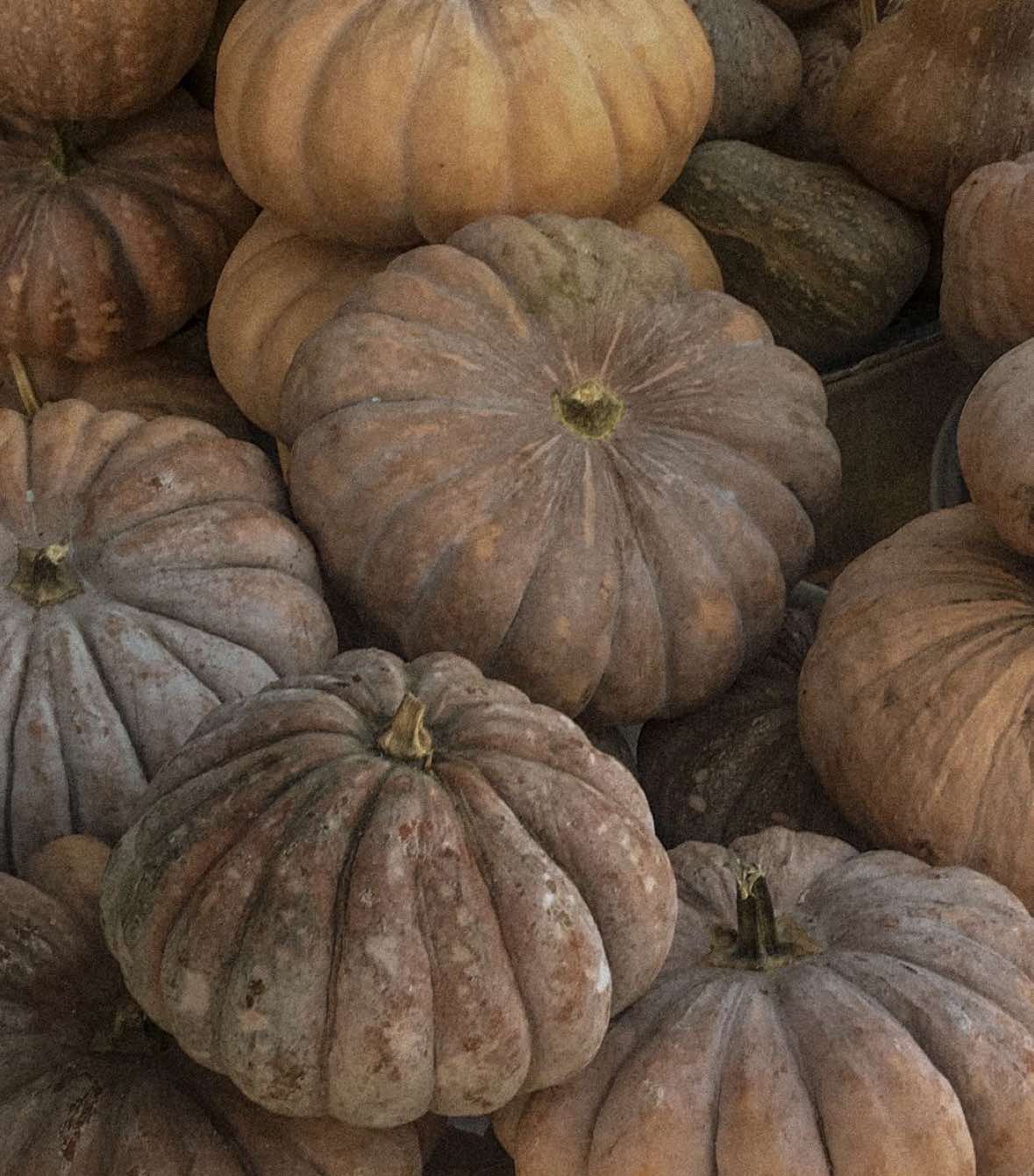 #darkacademia #interior #victorian #pinterest #foryoupage 