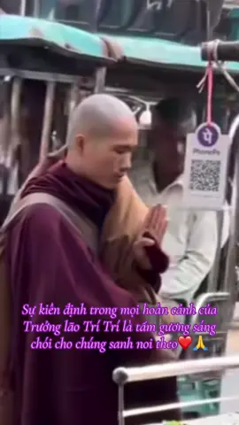 Trưởng lão Trí Trí #13hanhdauda #thayminhtri #viral #xuhuong #thienly156 