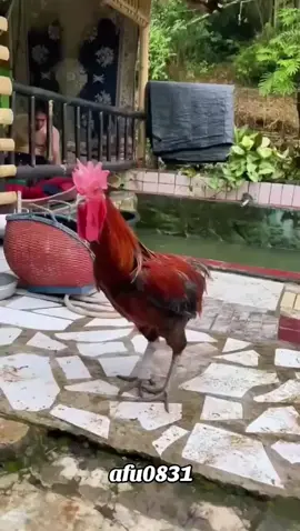 #粉丝一千万 #funny #cute #foryou #fyp 