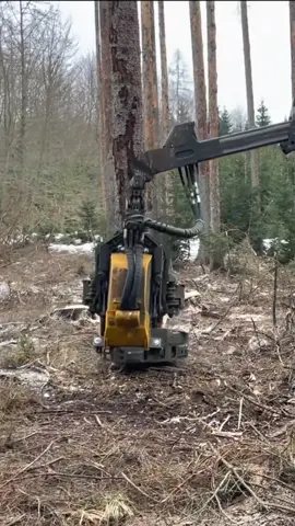 #treecuting #machine #logger #forestry #foryou 