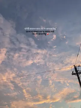 ❤️‍🩹🕊️#foryou 