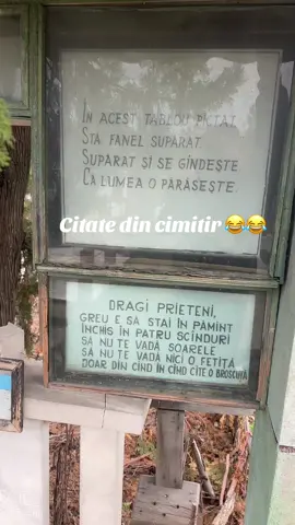 Așa da 😂😂😂 #fyyyyyyyyyyyyyyyyyyy #afara #cimitir #nucredcaosaajungpeforyou 