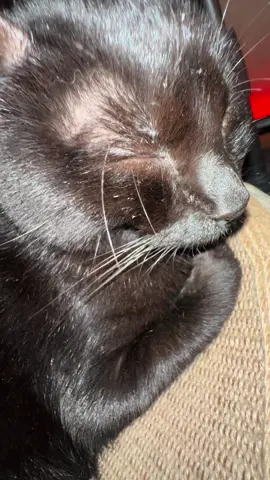 um minuto de sua atençao pra escutar o nariz ranhento de relampaga marcinha