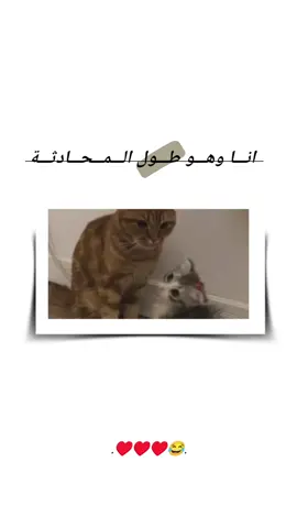 انا وهو#🥺💔🥀  #تصميمي❤️  #حبيبي❤️  #و #خطيبي_حبيب_عمري❤️🔗 