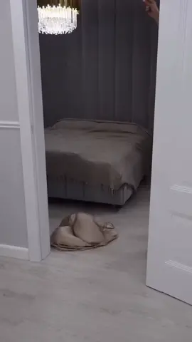 Sweatsuits restocking soon.. join the email list for updates!! #clothingbrands #streetwear #fashions #sweatsuits #skit   