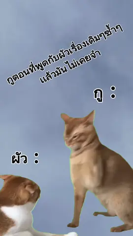 #🙄🙄🙄 #สตอรี่_ความรู้สึก😔🖤🥀 #เพื่อความบันเทิง #คำคม 