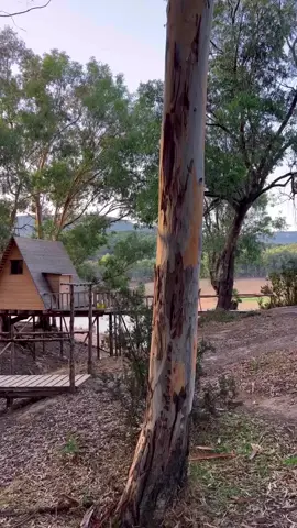 #fypシ #camping #fyp #viral #شعب_الصيني_ماله_حل😂😂 