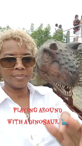 I really enjoyed my time in Brazil. #brazil  #riodejaneiro #dinosaur #travel #behappy #behealthy #havefun #fyp #foryoupage 