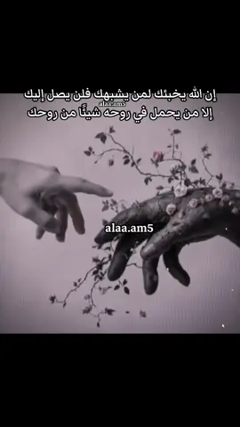 #CapCut #fypツ #fyp #اكسبلورexplore #شيرين_عبد_الوهاب 