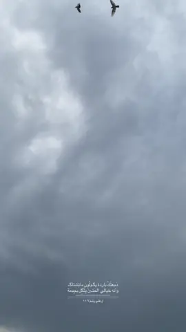 …❄️ #علي_رشم #explore #CapCut #من_اموت_برودتك_خليها_على_التابوت #الهوى_يلتم_عليه_منين_ماذكروك 