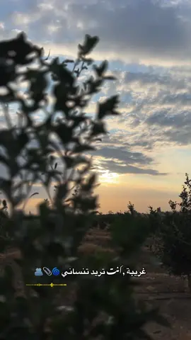 #الدعم_في_ذمه_الله #اعملولي_اعادة_نشر😒 #برررم_برررم💃🏽 