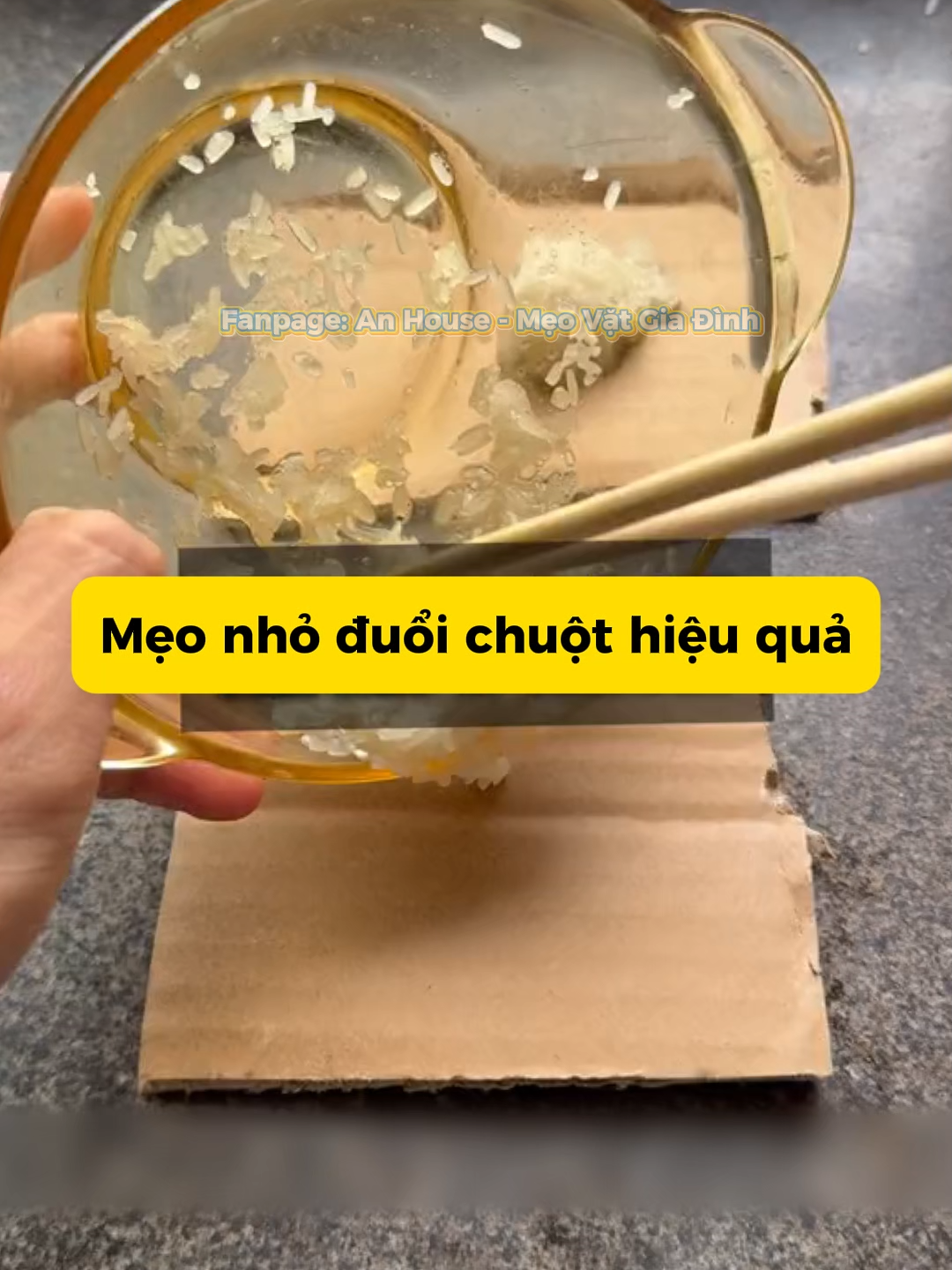 💥 Chuột cứ vào nhà làm tổ mãi? Thử ngay mẹo này – đơn giản mà hiệu quả bất ngờ! 🏠 Ai xem xong cũng phải lưu lại liền 🔥 #meovathay #meonha #meovatgiadinh #meovatchongchuot #meovatthucte #meovatsong #chongchuot #meonho #MẹoVặtGiaĐình #MẹoVặtCuộcSống #MẹoHayMỗiNgày #meovatgiadinh #meohay #trending #MeoVatGiaDinh #HackCuocSong