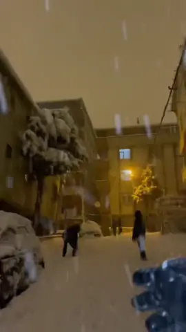 My brothers 😂😂🇨🇭#somalitiktok #usa🇺🇸 