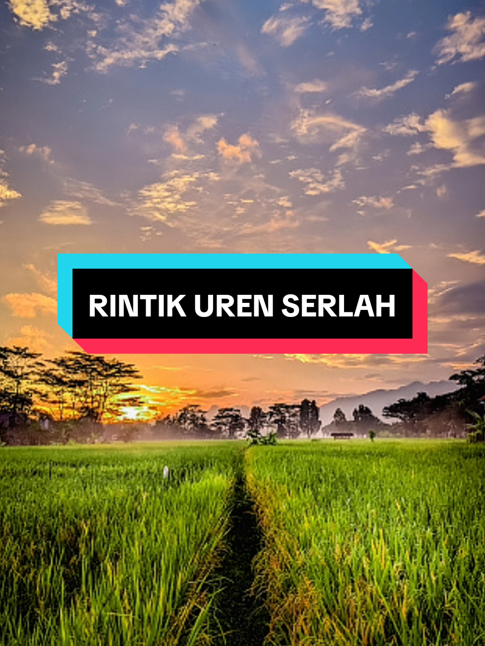 DJ - Jangin Gayo Part 2 (Trap House)  Lirik: Rintik uren serlah, tudung payung ngemeh Basah #lagugayo #lagugayoviral #berandafyp 