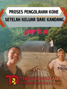 part 5 proses pengolahan kohe keluar dari kandang. thx bang agus @nU AiNg wee diskusi dan tour kandangnya. sukses selalu performnya ya. #tdpoultryequipment  #ayambroiler  #kandangayam  #kandangkoloni  #koheayam 