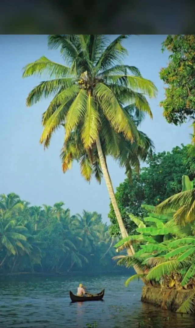 Listening alternately and you will enjoy it😁#alorasealord☀️🎗🌕💛⛵️⚓️ 