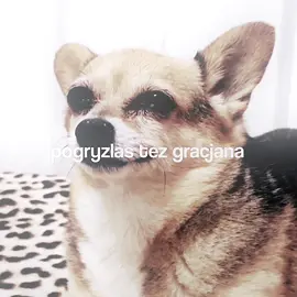 amanda diva💜💜 || #amanda #diva #edit #fyp #foryoupagе 