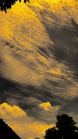 كن صبورا حتى لو شعرت أن عالمك كله ينهار، فالله يعلم مدى تعبك Tetaplah bersabar meskipun terasa seluruh duniamu berantakan. Allah tahu lelahmu. #quotesarabic #sholawat #sauqbiluyakholiq #arabicquotes #bismillahfyp 