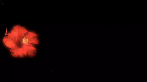 آموزش ادیت آهنگ و ویدیو برای دانلود تو چنل تلگرام قرار گرفتن لینک در بیو|کد 293 #songlyrics #fyp #فوریو #آهنگ_فارسی #ادیت_آهنگ 