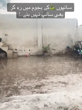 #CapCut #fyppppppppppppppppppppppp #foryoupage #unfrezzmyaccount 