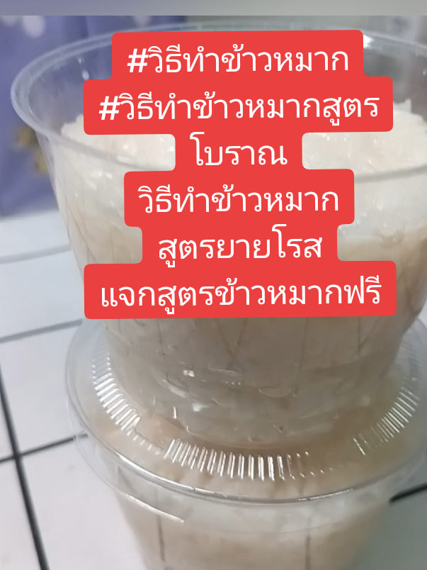 ตอบกลับ @jjaosa0  วิธีทำข้าวหมากวิธีทำข้าวหมากสูตรโบราณวิธีทำข้าวหมากสูตรยายโรสไปจ้าวันนี้ยายโรสจะจับมือทำดูคลิปให้จบทำเป็นแน่นอนค่ะเราสามารถที่จะเอาไปสร้างเป็นอาชีพได้เลยจ้า#ข้าวหมาก #วิธีทําแป้งข้าวหมาก #แป้งข้าวหมากสูตรโบราณ #tiktokวิดีโอยาว #creatorsearchinsights 
