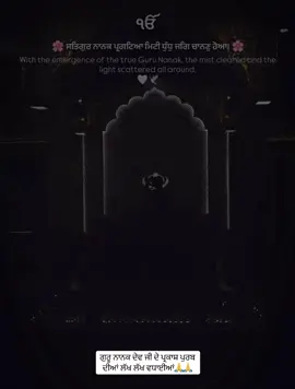#gurunanakdevji #gurupurab #sikh #waheguru #nankanasahib 