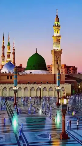 যদি ছোট্ট একটা পাখি হইতাম  যদি ডানা ওয়ালা পাখি হইতাম #fyppppppppppppppppppppppp 